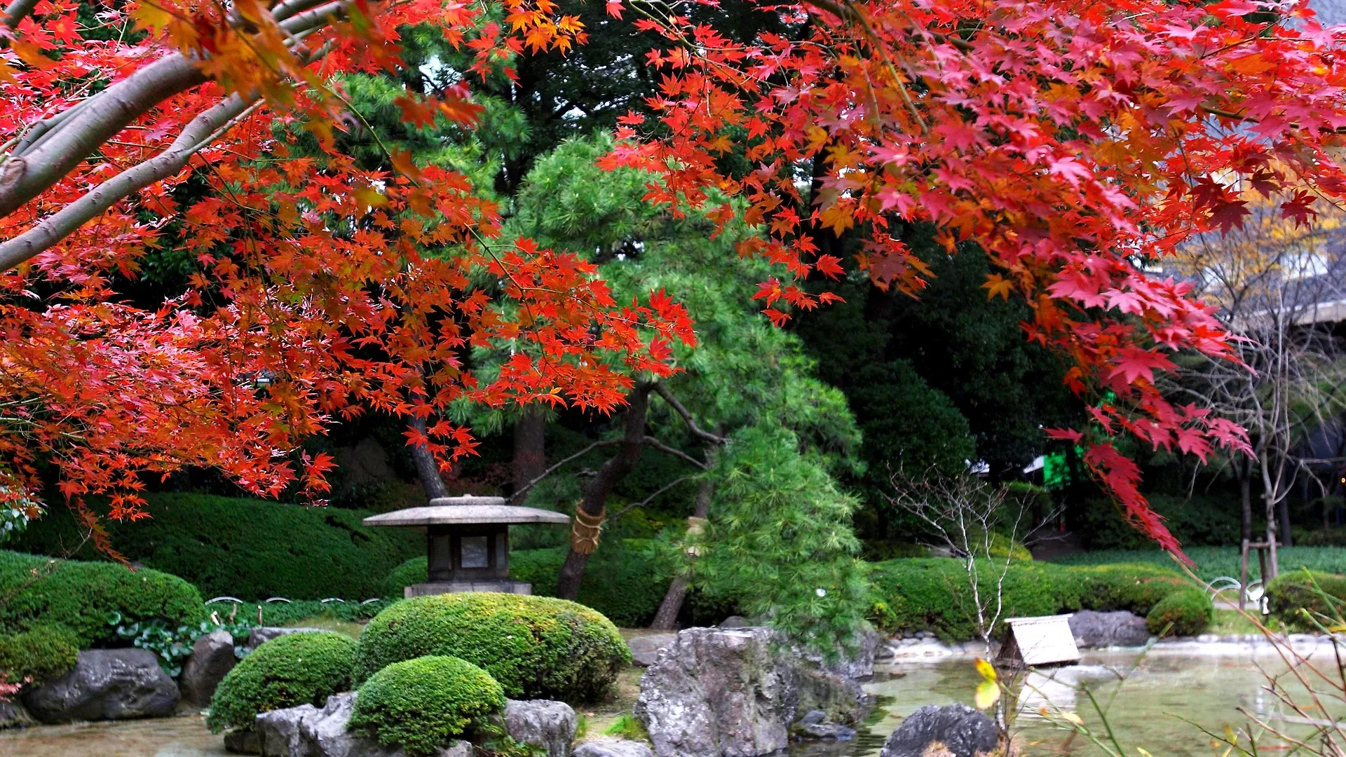 *****  Grand Prince Hotel Shin Takanawa Tóquio Japão